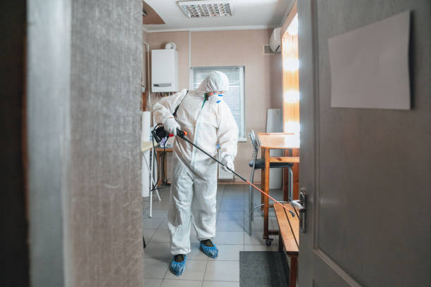 Best Mold Documentation for Insurance Claims  in Henderson, GA