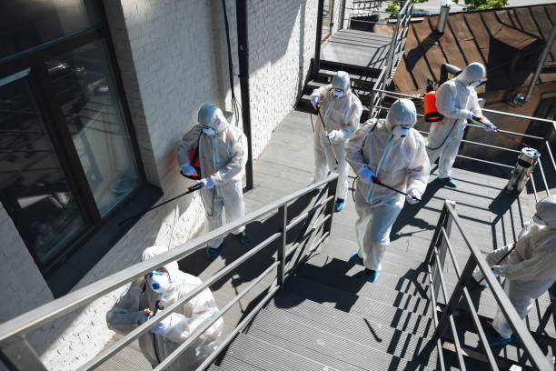 Professional Mold Removal in Henderson, GA