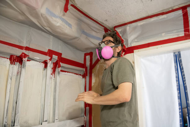 Best Mold Removal for HVAC Installations  in Henderson, GA