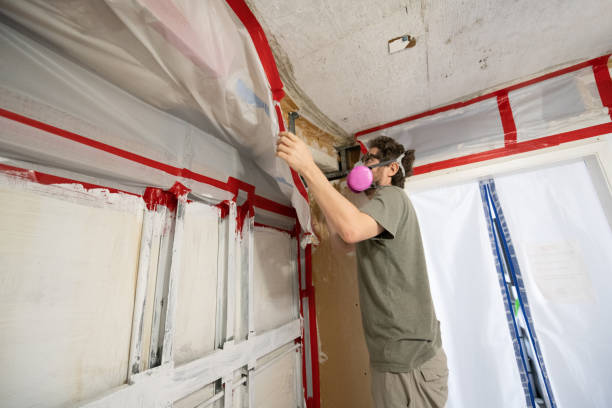 Best Air Quality Testing for Mold Spores  in Henderson, GA