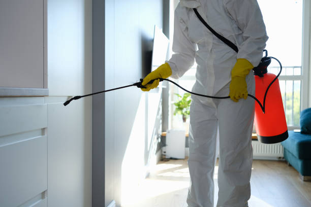 Best Mold Remediation for Healthcare Facilities  in Henderson, GA