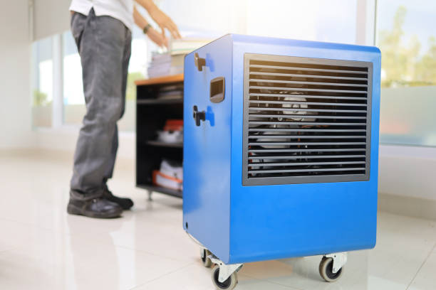 Best Forensic Mold Investigation  in Henderson, GA